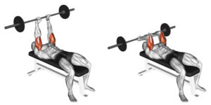 Barbell triceps extension lying