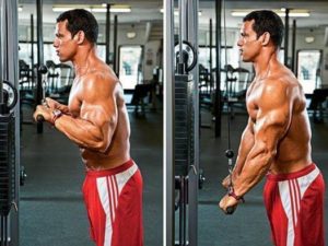 Triceps cable pushdown