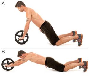 Ab wheel