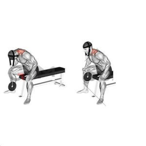 Seated neck extension