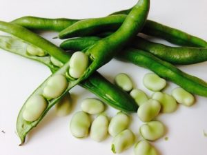 Broad beans for HGH