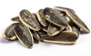 Sunflower seeds