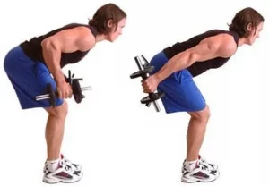 Standing Bent-Over Reverse Dumbbell Triceps Extension
